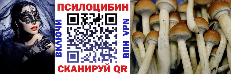 Галлюциногенные грибы Cubensis  Березники 